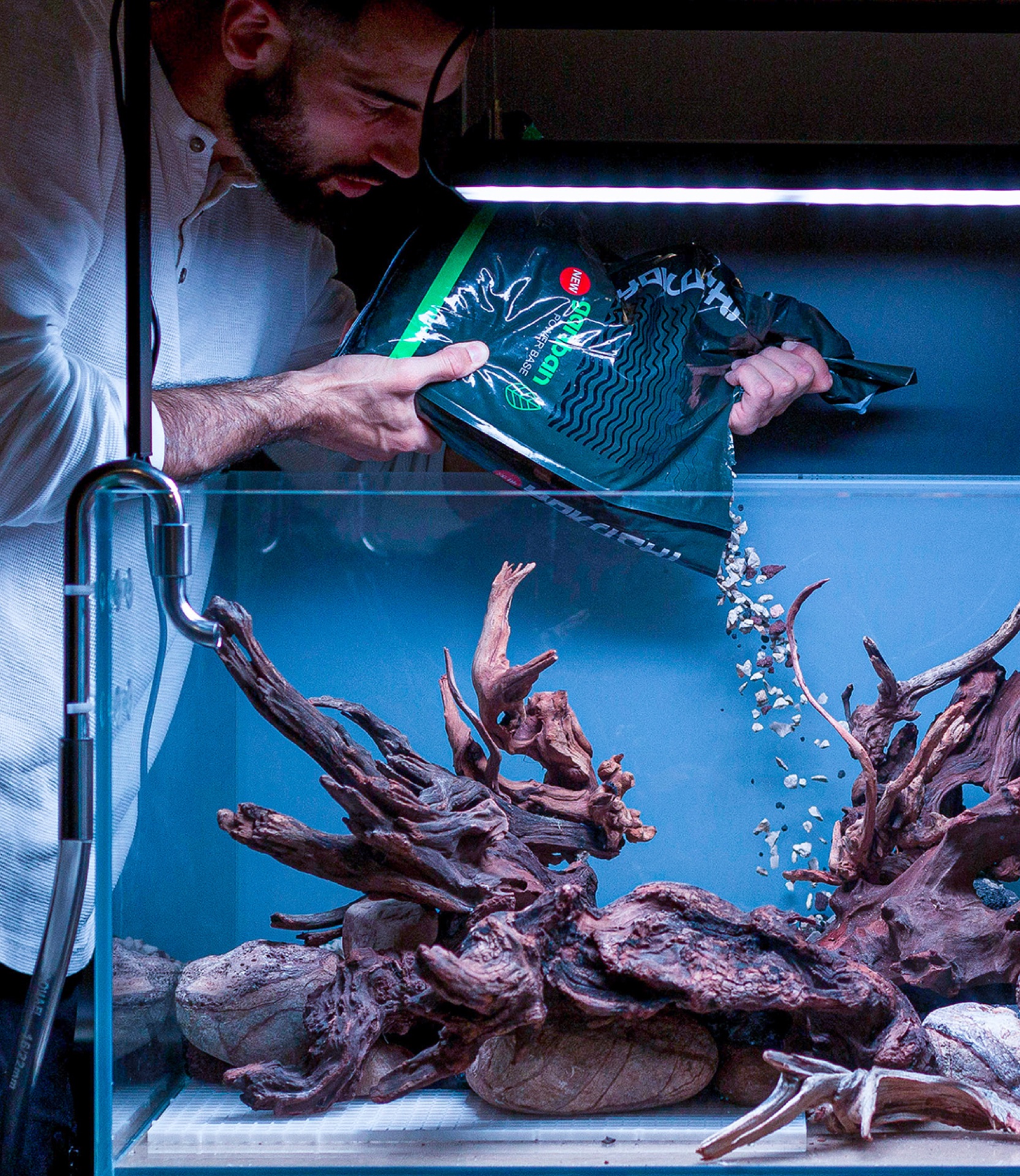 Aquascaper a verter substrato decorativo sobre o hardscape de troncos durante uma montagem