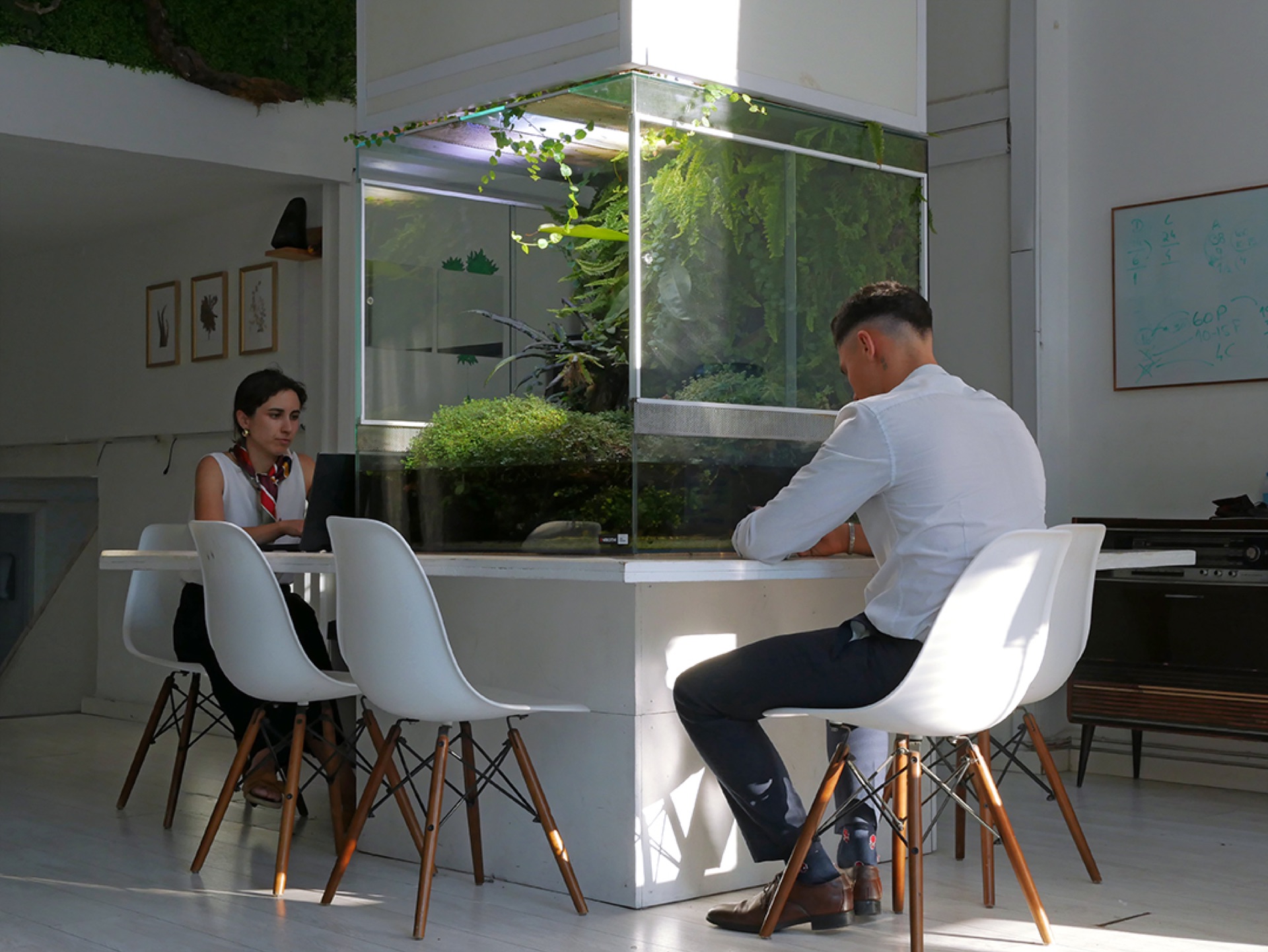 Paludário integrado numa mesa de trabalho branca, com duas pessoas a trabalhar ao lado sob luz natural
