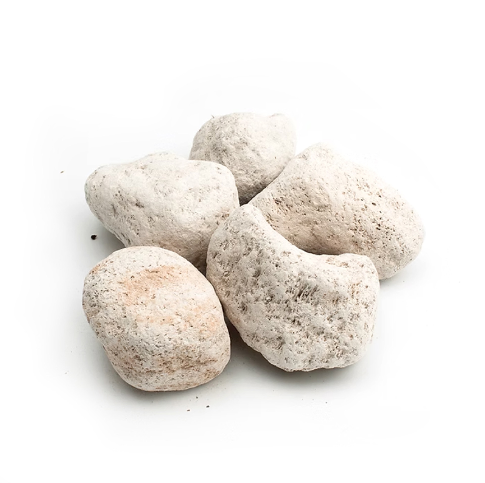 Cinco pedras pumice claras e porosas sobre fundo branco